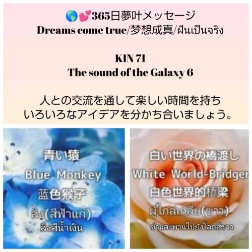 received_950670850200530-1600x1600-1