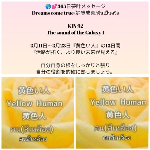 photocollagemaker_20260311_084425689