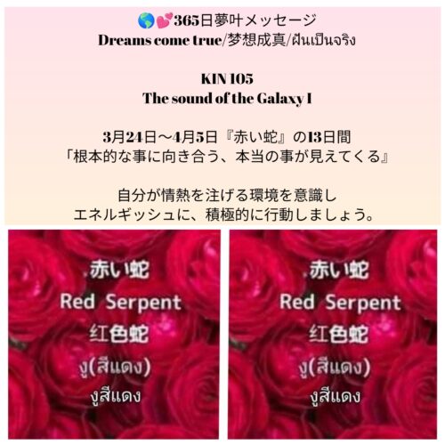 photocollagemaker_20260324_100434724