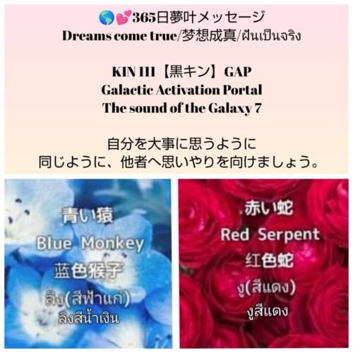 received_1246513329823525-1600x1600-1