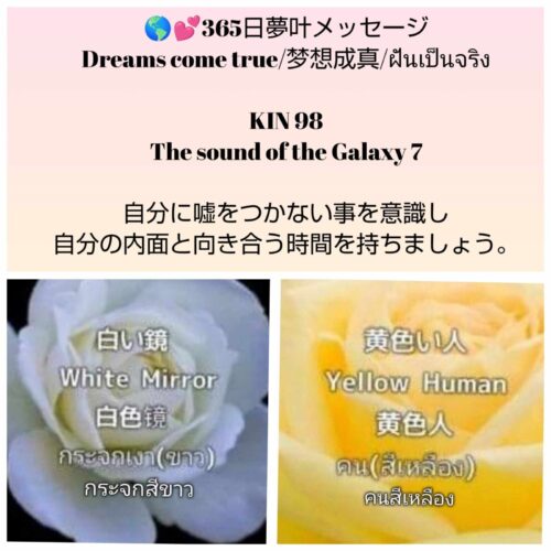 received_1282127473147724-1600x1600-1