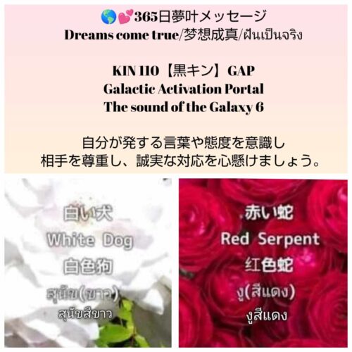 received_2265660803796357-1600x1600-1