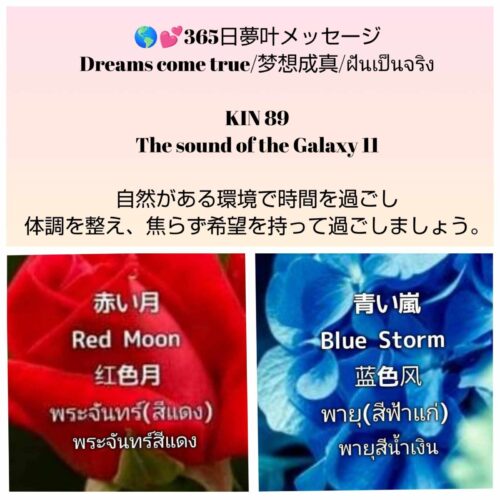 received_558694210061883-1600x1600-1