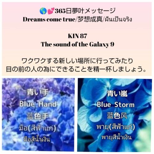 received_752566116383794-1600x1600-1