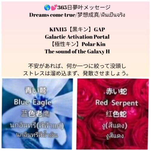 photocollagemaker_20250717_124310774-1600x1600