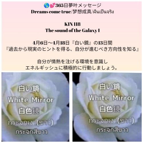 photocollagemaker_20260406_121543883