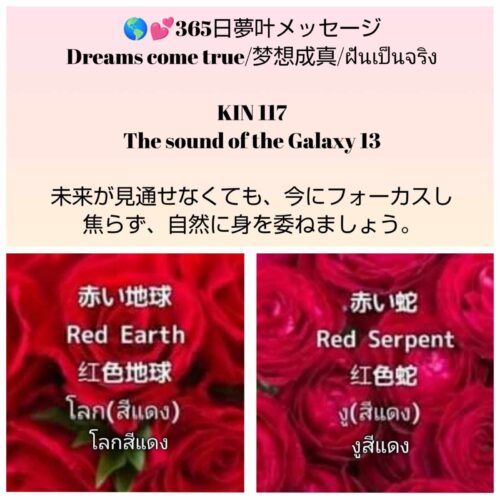 received_551171170831225-1600x1600-1